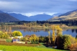bird-nets;central-otago-vineyards;crop;crops;cultivation;farm;farming;farms;field;fields;grape;grapes;grapevine;horticulture;lakes;net;netting;rural;vine;vines;vineyard;vineyards;vintage;wine;wineries;winery;wines