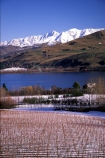 cold;crop;crops;cultivation;farm;farming;farms;field;fields;grape;grapes;grapevine;horticulture;lake;lakes;mountain;mountains;rural;snow;vine;vines;vineyard;vineyards;vintage;wine;wineries;winery;wines;winter