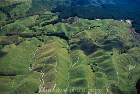 plantation;pinus-radiata;plantations;block;blocks;rural;farmland;agriculture;agricultural;aerial;aerials;paddocks;fields;field;meadow;meadows;paddock