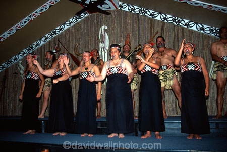 culture;maoris;performance;perform;marae;meeting-house;demonstation;live-performance;performances;cultural;maori-village;indigenous;sacred