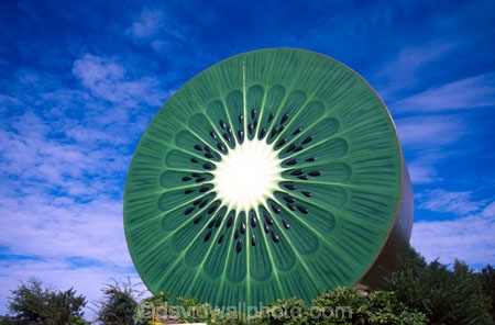 tourism;icon;big;tourist;tourists;kiwi-fruit;kiwi