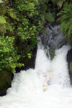 action;adrenaline;adrenaline-junkie;adventure;adventure-tourism;bay-of-plenty;cascade;cascades;creek;creeks;;excite;excitement;exciting;falls;frighten;frightening;fun;kaituna-cascades;natural;nature;new-zealand;north-is.;north-island;okere-falls;Okere-River;raft;rafter;rafting;rafts;Rotorua;scary;scene;scenic;stream;streams;Tuteas-Falls;tuteas-falls;water;water-fall;water-falls;waterfall;waterfalls;wet;white-water;whitewater