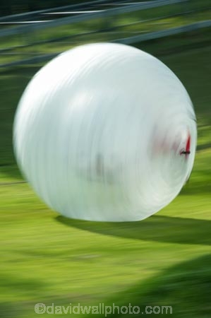 action;adrenaline;adrenaline-junkie;adventure;adventure-tourism;ball;bay-of-plenty;blur;blurred;blurry;blury;excite;excitement;exciting;fast;frighten;frightening;fun;holiday;holidaying;holidays;movement;new-zealand;north-is.;north-island;roll;rolling;rolls;rotorua;scary;speed;spin;spinning;spins;tourism;tourist;tourists;travel;traveler;traveling;traveller;travelling;vacation;vacationers;vacationing;vacations;zoom;zooming;zorb;zorbing