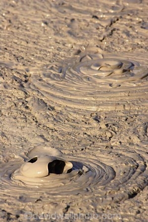 activity;bay-of-plenty;boiling-mud;bubble;bubbles;bubbling-mud;danger;dangerous;explode;exploding;exploding-mud;force;geothermal;hot;muddy;natural;nature;new-zealand;north-is.;north-island;rotorua;splatter;steam;thermal;thermal-activity;thermal-area;vent;volcanic