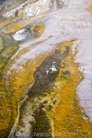 activity;algae;bay-of-plenty;color;colors;colour;colours;danger;dangerous;geothermal;holiday;holidaying;holidays;hot;muddy;N.I.;N.Z.;natural;nature;new-zealand;NI;north-is.;north-island;NZ;Orakei-Korako;Orakei-Korako-Thermal-Area;rotorua;silica-terrace;silica-terraces;Taupo;thermal;thermal-activity;thermal-algae;thermal-area;thermal-terrace;thermal-terraces;tourism;travel;traveling;travelling;vacation;vacationing;vacations;volcanic;yellow