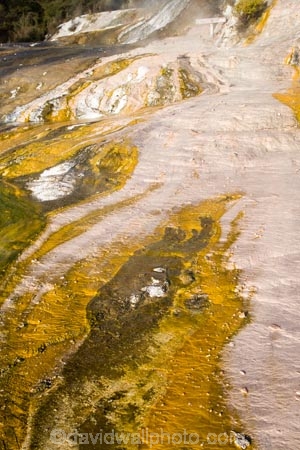 activity;algae;bay-of-plenty;color;colors;colour;colours;danger;dangerous;geothermal;holiday;holidaying;holidays;hot;muddy;N.I.;N.Z.;natural;nature;new-zealand;NI;north-is.;north-island;NZ;Orakei-Korako;Orakei-Korako-Thermal-Area;rotorua;silica-terrace;silica-terraces;Taupo;thermal;thermal-activity;thermal-algae;thermal-area;thermal-terrace;thermal-terraces;tourism;travel;traveling;travelling;vacation;vacationing;vacations;volcanic;yellow