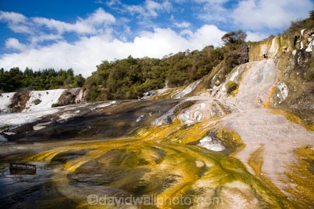 activity;algae;bay-of-plenty;color;colors;colour;colours;danger;dangerous;geothermal;holiday;holidaying;holidays;hot;muddy;N.I.;N.Z.;natural;nature;new-zealand;NI;north-is.;north-island;NZ;Orakei-Korako;Orakei-Korako-Thermal-Area;rotorua;silica-terrace;silica-terraces;Taupo;thermal;thermal-activity;thermal-algae;thermal-area;thermal-terrace;thermal-terraces;tourism;travel;traveling;travelling;vacation;vacationing;vacations;volcanic;yellow