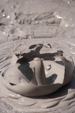 activity;bay-of-plenty;boiling-mud;bubble;bubbles;bubbling;bubbling-mud;danger;dangerous;explode;exploding;exploding-mud;force;geothermal;hot;muddy;N.I.;N.Z.;natural;nature;New-Zealand;NI;North-Is;north-is.;north-island;NZ;rotorua;splatter;steam;thermal;thermal-activity;thermal-area;vent;volcanic