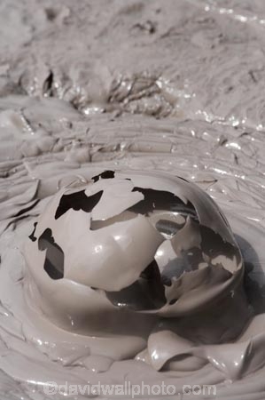 activity;bay-of-plenty;boiling-mud;bubble;bubbles;bubbling;bubbling-mud;danger;dangerous;explode;exploding;exploding-mud;force;geothermal;hot;muddy;N.I.;N.Z.;natural;nature;New-Zealand;NI;North-Is;north-is.;north-island;NZ;rotorua;splatter;steam;thermal;thermal-activity;thermal-area;vent;volcanic
