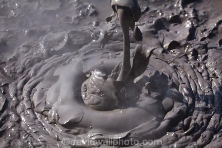 activity;bay-of-plenty;Bay-of-Plenty-Region;boiling-mud;bubble;bubbles;bubbling;bubbling-mud;danger;dangerous;explode;exploding;exploding-mud;force;geothermal;geothermal-activity;hot;muddy;N.I.;N.Z.;natural;nature;New-Zealand;NI;North-Is;north-is.;north-island;Nth-Is;NZ;Rotorua;splatter;steam;thermal;thermal-activity;thermal-area;vent;volcanic;volcanic-activity;Wai_o_tapu;Wai_o_tapu-Reserve;Wai_o_tapu-Thermal-Reserve;Wai_o_tapu-Thermal-Wonderland;Waiotapu;Waiotapu-Reserve;Waiotapu-Thermal-Reserve;Waiotapu-Thermal-Wonderland