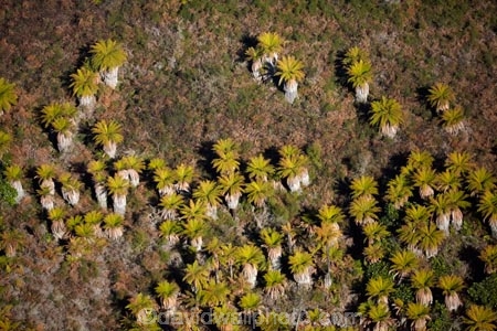 aerial;aerial-image;aerial-images;aerial-photo;aerial-photograph;aerial-photographs;aerial-photography;aerial-photos;aerial-view;aerial-views;aerials;Bay-of-Plenty-Region;fern;ferns;N.I.;N.Z.;New-Zealand;NI;North-Is;North-Island;Nth-Is;NZ;ponga;pongas;punga;pungas;Rotorua;tree-fern;tree-ferns;Wai_o_tapu-Reserve;Wai_o_tapu-Thermal-Reserve;Wai_o_tapu-Thermal-Wonderland;Waiotapu;Waiotapu-Reserve;Waiotapu-Thermal-Reserve;Waiotapu-Thermal-Wonderland