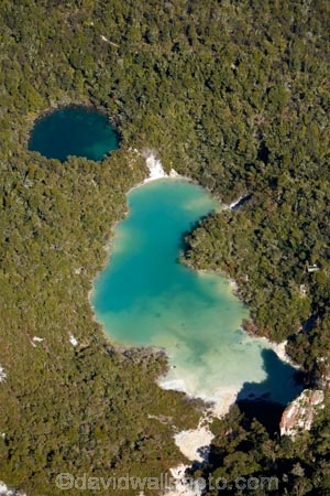 aerial;aerial-image;aerial-images;aerial-photo;aerial-photograph;aerial-photographs;aerial-photography;aerial-photos;aerial-view;aerial-views;aerials;Bay-of-Plenty-Region;bush;Crater-Lakes;forest;forests;geothermal;Maunga-Kakaramea;N.I.;N.Z.;native-bush;native-forest;native-forests;native-tree;native-trees;native-woods;natural;nature;New-Zealand;NI;North-Is;North-Island;Nth-Is;NZ;Rainbow-Mountain;Rainbow-Mountain-Reserve;Rainbow-Mountain-Scenic-Reserve;Rotorua;steam;thermal;thermal-activity;thermal-area;tree;trees;volcanic;volcanic-activity;wood;woods