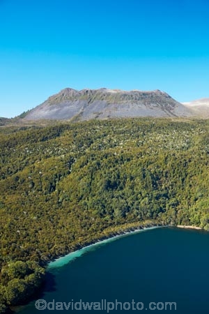 aerial;aerial-image;aerial-images;aerial-photo;aerial-photograph;aerial-photographs;aerial-photography;aerial-photos;aerial-view;aerial-views;aerials;Bay-of-Plenty-Region;bush;forest;forests;lake;Lake-Tarawera;lakes;Mount-Tarawera;Mt-Tarawera;N.I.;N.Z.;native-bush;native-forest;native-forests;native-tree;native-trees;native-woods;natural;nature;New-Zealand;NI;North-Is;North-Island;Nth-Is;NZ;Rotorua;Te-Tapahoro-Bay;tree;trees;volcanic;volcano;volcanoes;wood;woods