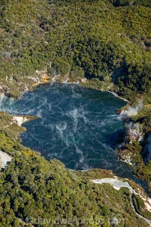 aerial;aerial-image;aerial-images;aerial-photo;aerial-photograph;aerial-photographs;aerial-photography;aerial-photos;aerial-view;aerial-views;aerials;Bay-of-Plenty-Region;boiling-pool;boiling-pools;bush;crater;craters;Echo-Crater;forest;forests;Frying-Pan-Lake;geothermal;geothermal-activity;hot-pool;hot-pools;N.I.;N.Z.;native-bush;native-forest;native-forests;native-tree;native-trees;native-woods;natural;nature;New-Zealand;NI;North-Is;North-Island;Nth-Is;NZ;pool;Rotorua;steam;thermal;thermal-activity;thermal-area;tree;trees;volcanic;volcanic-activity;volcanic-crater;volcanic-craters;Waimangu;Waimangu-Volcanic-Valley;wood;woods