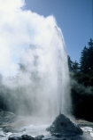 thermal;geothermal;hot;water;fountain;geysers;steam;lady-knox-geyser;pressure