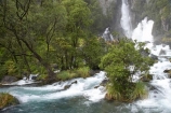 cascade;cascades;creek;creeks;Eastern-Bay-of-Plenty;falls;Kawerau;Lake-Tarawera-Scenic-Reserve;N.I.;N.Z.;natural;nature;New-Zealand;NI;North-Is;North-Island;NZ;scene;scenic;stream;streams;Tarawera-Falls;Tarawera-River;water;water-fall;water-falls;waterfall;waterfalls;wet
