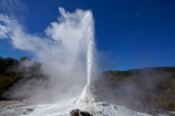 Bay-of-Plenty-Region;fountain;fountains;geothermal;geothermal-activity;geyser;geysers;hot;hot-water;lady-knox-geyser;N.I.;N.Z.;New-Zealand;NI;North-Is;North-Island;Nth-Is;NZ;pressure;Rotorua;steam;thermal;thermal-activity;thermal-area;volcanic;volcanic-activity;Wai_o_tapu;Wai_o_tapu-Reserve;Wai_o_tapu-Thermal-Reserve;Wai_o_tapu-Thermal-Wonderland;Waiotapu;Waiotapu-Reserve;Waiotapu-Thermal-Reserve;Waiotapu-Thermal-Wonderland;water
