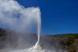 Bay-of-Plenty-Region;fountain;fountains;geothermal;geothermal-activity;geyser;geysers;hot;hot-water;lady-knox-geyser;N.I.;N.Z.;New-Zealand;NI;North-Is;North-Island;Nth-Is;NZ;pressure;Rotorua;steam;thermal;thermal-activity;thermal-area;volcanic;volcanic-activity;Wai_o_tapu;Wai_o_tapu-Reserve;Wai_o_tapu-Thermal-Reserve;Wai_o_tapu-Thermal-Wonderland;Waiotapu;Waiotapu-Reserve;Waiotapu-Thermal-Reserve;Waiotapu-Thermal-Wonderland;water