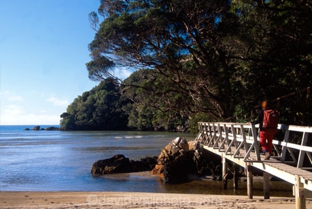 great-walk;walks;tramper;trampers;tramping;tramp;tracks;pack;backpack;hiker;hike;native-bush;forest;forests;forestry;green;hikers;walk;walker;walkers;walking;hiking;pier;jetty;end;wander