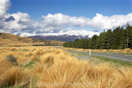 bend;bends;centre-line;centre-lines;centre_line;centre_lines;centreline;centrelines;corner;corners;driving;highway;highways;Mossburn;New-Zealand;open-road;open-roads;red-tussock-reserve;Road;road-trip;roads;South-Island;Southland;straight;transport;transportation;travel;traveling;travelling;trip