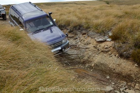 3004;4wd;4wd-track;4wd-tracks;4wds;4wds;4x4;4x4s;4x4s;back-country;backcountry;Central-Otago;four-by-four;four-by-fours;four-wheel-drive;four-wheel-drives;high-altitude;high-country;Highcountry;highlands;island;man;N.Z.;new;new-zealand;NZ;old;Old-Man-Range;range;remote;remoteness;rough-track;S.I.;SI;south;South-Is;South-Island;Southland;sports-utility-vehicle;sports-utility-vehicles;Sth-Is;suv;suvs;toyota-prado;toyota-prados;toyotas;tussock;tussocks;upland;uplands;vehicle;vehicles;Waikaia-Bush-Rd;Waikaia-Bush-Road;Waikaia-Bush-Track;zealand