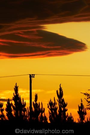 cloud;clouds;dusk;evening;line;lines;Mossburn;N.Z.;New-Zealand;nightfall;NZ;orange;pole;poles;post;posts;power-line;power-lines;power-pole;power-poles;S.I.;SI;sky;South-Is;South-Island;Southland;Sth-Is;sunset;sunsets;telegraph-line;telegraph-lines;telegraph-pole;telegraph-poles;twilight;wire;wires