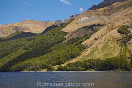 altitude;beautiful;beauty;Beech-Forest;bush;bush-line;bush-lines;bush_line;bush_lines;bushline;bushlines;endemic;forest;forests;green;lake;lakes;Livingstone-Mountains;Mavora-Lakes;Mavora-Track;Mavora-Walkway;N.Z.;native;native-bush;natives;natural;nature;New-Zealand;North-Mavora-Lake;Nothofagus;NZ;S.I.;scene;scenic;shoreline;shorelines;SI;snow-line;snow-lines;snow_line;snow_lines;snowline;snowlines;South-Is;South-Island;southern-beeches;Southland;Sth-Is;timber;tree;tree-line;tree-lines;tree_line;tree_lines;treeline;treelines;trees;wood;woods
