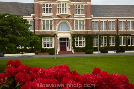 1926;3761;bloom;blooms;boys;building;buildings;floral;flowers;garden;gardens;heritage;high;historic;historic-building;historic-buildings;historical;historical-building;historical-buildings;history;invercargill;island;N.Z.;new;new-zealand;NZ;old;red;red-brick;rhododendron;S.B.H.S.;S.I.;SBHS;school;season;seasonal;seasons;SI;south;South-Is;South-Island;Southland;Southland-Boys-High-School;Southland-Boys-High-School;Southland-Boys-High-School;spring;spring-time;spring_time;springtime;Sth-Is.;tradition;traditional;zealand