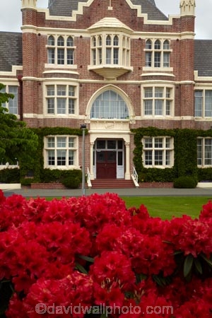 1926;3764;bloom;blooms;boys;building;buildings;floral;flowers;garden;gardens;heritage;high;historic;historic-building;historic-buildings;historical;historical-building;historical-buildings;history;invercargill;island;N.Z.;new;new-zealand;NZ;old;red;red-brick;rhododendron;S.B.H.S.;S.I.;SBHS;school;season;seasonal;seasons;SI;south;South-Is;South-Island;Southland;Southland-Boys-High-School;Southland-Boys-High-School;Southland-Boys-High-School;spring;spring-time;spring_time;springtime;Sth-Is.;tradition;traditional;zealand