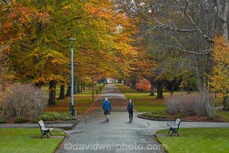 autuminal;autumn;autumn-colour;autumn-colours;autumnal;avenue;avenues;color;colors;colour;colours;deciduous;fall;gold;golden;Invercargill;leaf;leaves;municipal;N.Z.;New-Zealand;NZ;park;parks;Queens-Park;Queens-Pk;Queens-Park;Queens-Pk;S.I.;season;seasonal;seasons;SI;South-Is;South-Island;Southland;Sth-Is;tree;trees;yellow