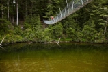 beech-forest;bridge;bridges;bush;foot-bridge;foot-bridges;footbridge;footbridges;forest;hiking-track;hiking-tracks;male;man;N.Z.;native-bush;New-Zealand;NZ;pedestrian-bridge;pedestrian-bridges;people;person;Piano-Flat;river;rivers;S.I.;SI;South-Is;South-Island;Southland;Sth-Is;suspension-bridge;suspension-bridges;swing-bridge;swing-bridges;track;tracks;Waikaia-Forest;Waikaia-River;Waikaia-Valley;walker;walkers;walking-track;walking-tracks;wire-bridge;wire-bridges