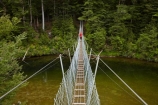 beech-forest;bridge;bridges;bush;foot-bridge;foot-bridges;footbridge;footbridges;forest;hiking-track;hiking-tracks;male;man;N.Z.;native-bush;New-Zealand;NZ;pedestrian-bridge;pedestrian-bridges;people;person;Piano-Flat;river;rivers;S.I.;SI;South-Is;South-Island;Southland;Sth-Is;suspension-bridge;suspension-bridges;swing-bridge;swing-bridges;track;tracks;Waikaia-Forest;Waikaia-River;Waikaia-Valley;walker;walkers;walking-track;walking-tracks;wire-bridge;wire-bridges