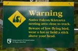 doc;doc-sign;Karearea;N.Z.;native-bird;Native-Falcon;New-Zealand;New-Zealand-falcon;NZ;S.I.;SI;South-Is;South-Island;Southland;Sth-Is;warning-sign;warning-signs