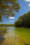 beautiful;beauty;Beech-Forest;bush;clean-water;clear-water;endemic;forest;forests;green;Mararoa-River;Mavora-Lakes;N.Z.;native;native-bush;natives;natural;nature;New-Zealand;Nothofagus;NZ;pure-water;river;rivers;S.I.;scene;scenic;SI;South-Is;South-Island;South-Mavora-Lake;southern-beeches;Southland;Sth-Is;timber;tree;trees;wood;woods
