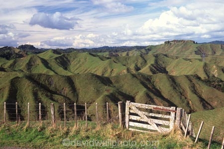 spring;grass;green;fence;fences;fenceline;fence-line;fence_line;farm;farms;farming;farmland;paddock;paddocks;field;fields;pasture;pastures;meadow;meadows;agriculture;rural;taranaki;new-zealand;whangamomona;stratford;taumarunui