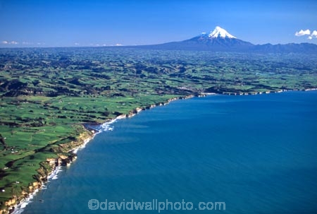spring;grass;green;paddock;paddocks;field;fields;pasture;pastures;meadow;meadows;agriculture;rural;farm;farms;farmer;farming;farmland;lush;verdant;dairy;snow;mountains;mountain;volcano;volcanoes;sea;ocean;tasman;coast;coastline;shoreline;shore;cliff;cliffs