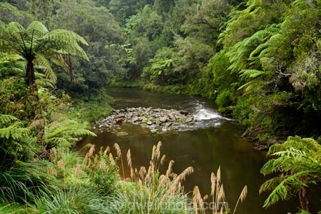 beautiful;beauty;brook;brooks;bush;creek;creeks;cyathea;endemic;fern;ferns;flora;forest;forestry;forests;Forgotten-World-Highway;frond;fronds;green;lush;N.I.;N.Z.;native;native-bush;natives;natural;nature;New-Zealand;NI;North-Island;NZ;outdoor;outdoors;ponga;pongas;punga;pungas;rain-forest;rain-forests;rain_forest;rain_forests;rainforest;rainforests;scene;scenic;Stratford-_-Taumarunui-Road;stream;streams;Tangarakau-Gorge;Tangarakau-River;Taranaki;Taumarunui-_-Stratford-Road;The-Forgotten-World-Highway;tree-fern;tree-ferns;undergrowth;watercourse
