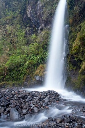 brook;brooks;cascade;cascades;creek;creeks;Dawson-Falls;Egmont-N.P.;Egmont-National-Park;Egmont-NP;falls;flow;Mount-Egmont;Mount-Taranaki;Mount-Taranaki-Egmont;Mt-Egmont;Mt-Taranaki;Mt-Taranaki-Egmont;Mt.-Egmont;Mt.-Taranaki;Mt.-Taranaki-Egmont;N.I.;N.Z.;natural;nature;New-Zealand;NI;North-Is;North-Is.;North-Island;NZ;scene;scenic;stream;streams;Taranaki;water;water-fall;water-falls;waterfall;waterfalls;wet