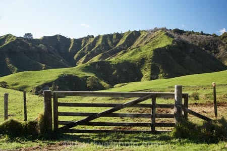 agricultural;agriculture;country;countryside;dairy-farm;dairy-farming;dairy-farms;farm;farming;farmland;farms;fence;fence-line;fence-lines;fence_line;fence_lines;fenceline;fencelines;fences;field;fields;gate;gates;gateway;gateways;grassy;green-grass;meadow;meadows;N.I.;N.Z.;New-Zealand;NI;North-Is;North-Is.;North-Island;NZ;Otaraoa-Raod;Otaraoa-Rd;paddock;paddocks;pasture;pastures;rural;Taranaki;Tarata