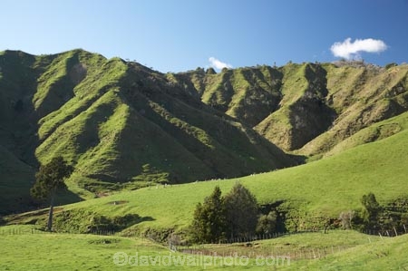 agricultural;agriculture;country;countryside;dairy-farm;dairy-farming;dairy-farms;farm;farming;farmland;farms;field;fields;grassy;green-grass;livestock;meadow;meadows;N.I.;N.Z.;New-Zealand;NI;North-Is;North-Is.;North-Island;NZ;Otaraoa-Raod;Otaraoa-Rd;paddock;paddocks;pasture;pastures;rural;sheep;stock;Taranaki;Tarata
