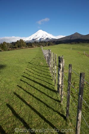 agricultural;agriculture;country;countryside;dairy-farm;dairy-farming;dairy-farms;farm;farming;farmland;farms;fence;fence-line;fence-lines;fence_line;fence_lines;fenceline;fencelines;fences;field;fields;meadow;meadows;Mount-Egmont;Mount-Taranaki;Mount-Taranaki-Egmont;Mountain;mountainous;mountains;mt;Mt-Egmont;Mt-Taranaki;Mt-Taranaki-Egmont;mt.;Mt.-Egmont;Mt.-Taranaki;Mt.-Taranaki-Egmont;N.I.;N.Z.;New-Zealand;NI;North-Is;North-Is.;North-Island;NZ;paddock;paddocks;pasture;pastures;rural;season;seasonal;seasons;snow;Taranaki;volcanic;volcano;volcanoes;winter