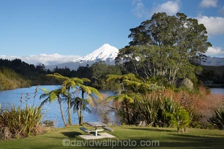 cyathea;fern;ferns;frond;fronds;lake;Lake-Mangamahoe;lakes;Mount-Egmont;Mount-Taranaki;Mount-Taranaki-Egmont;Mountain;mountainous;mountains;mt;Mt-Egmont;Mt-Taranaki;Mt-Taranaki-Egmont;mt.;Mt.-Egmont;Mt.-Taranaki;Mt.-Taranaki-Egmont;N.I.;N.Z.;New-Zealand;NI;North-Is;North-Is.;North-Island;NZ;picnic-area;picnic-areas;picnic-ground;picnic-grounds;picnic-spot;picnic-spots;plant;plants;ponga;pongas;punga;pungas;season;seasonal;seasons;snow;Taranaki;tree-fern;tree-ferns;volcanic;volcano;volcanoes;winter