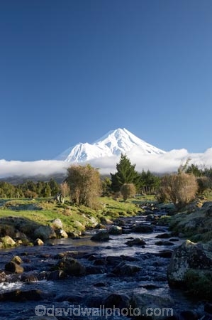 agricultural;agriculture;brook;brooks;country;countryside;creek;creeks;dairy-farm;dairy-farming;dairy-farms;Egmont-N.P.;Egmont-National-Park;Egmont-NP;farm;farming;farmland;farms;field;fields;flow;meadow;meadows;Mount-Egmont;Mount-Taranaki;Mount-Taranaki-Egmont;Mountain;mountainous;mountains;mt;Mt-Egmont;Mt-Taranaki;Mt-Taranaki-Egmont;mt.;Mt.-Egmont;Mt.-Taranaki;Mt.-Taranaki-Egmont;N.I.;N.Z.;New-Zealand;NI;North-Is;North-Is.;North-Island;NZ;paddock;paddocks;pasture;pastures;rural;season;seasonal;seasons;snow;stream;streams;Taranaki;volcanic;volcano;volcanoes;water;wet;winter