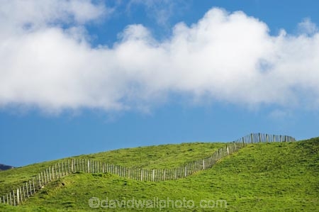 agricultural;agriculture;cloud;clouds;cloudy;country;countryside;dairy-farm;dairy-farming;dairy-farms;farm;farming;farmland;farms;fence;fence-line;fence-lines;fence_line;fence_lines;fenceline;fencelines;fences;field;fields;grassy;green-grass;meadow;meadows;N.I.;N.Z.;New-Zealand;NI;North-Is;North-Is.;North-Island;NZ;paddock;paddocks;pasture;pastures;rural;skies;sky;Stratford;Taranaki
