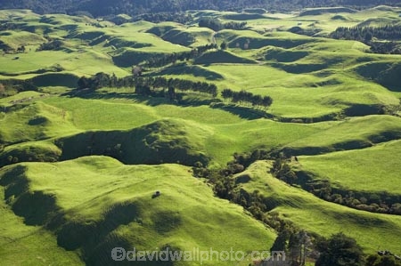 aerial;aerial-photo;aerial-photograph;aerial-photographs;aerial-photography;aerial-photos;aerial-view;aerial-views;aerials;agricultural;agriculture;country;countryside;Dairy-Farm;Dairy-Farming;Dairy-Farms;farm;farming;farmland;farms;field;fields;meadow;meadows;N.I.;N.Z.;New-Zealand;NI;North-Is;North-Is.;North-Island;NZ;Okato;paddock;paddocks;pasture;pastures;rural;Taranaki;windbreak;windbreaks