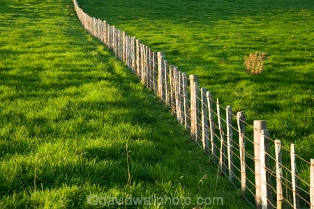 agricultural;agriculture;country;countryside;farm;farming;farmland;farms;fence;fence-line;fence-lines;fence_line;fence_lines;fenceline;fencelines;fences;field;fields;meadow;meadows;N.I.;N.Z.;New-Zealand;NI;North-Island;NZ;paddock;paddocks;pasture;pastures;rural;Wanganui;Wanganui-Region