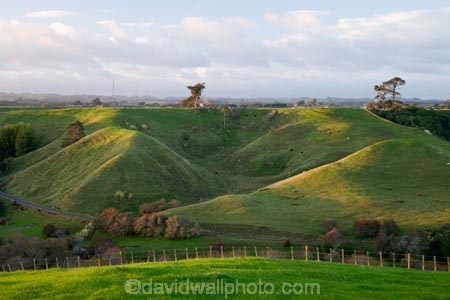 agricultural;agriculture;country;countryside;farm;farming;farmland;farms;field;fields;meadow;meadows;N.I.;N.Z.;New-Zealand;NI;North-Island;NZ;paddock;paddocks;pasture;pastures;rural;Wanganui;Wanganui-Region