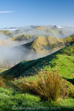 agricultural;agriculture;cloud;clouds;cloudy;country;countryside;farm;farming;farmland;farms;field;fields;fog;foggy;fogs;meadow;meadows;mist;mists;misty;N.I.;N.Z.;New-Zealand;NI;North-Island;NZ;paddock;paddocks;pasture;pastures;rural;Wanganui;Wanganui-Region