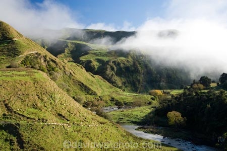 agricultural;agriculture;cloud;clouds;cloudy;country;countryside;farm;farming;farmland;farms;field;fields;fog;foggy;fogs;Mangawhero-River;Mangawhero-Valley;meadow;meadows;mist;mists;misty;N.I.;N.Z.;New-Zealand;NI;North-Island;NZ;paddock;paddocks;pasture;pastures;rural;Wanganui;Wanganui-Region