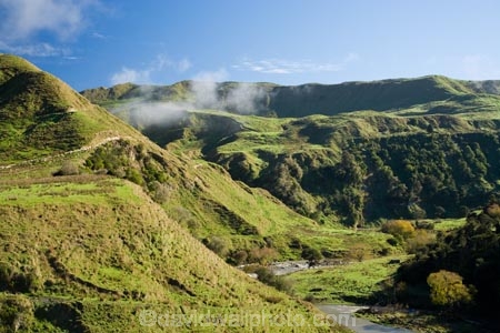 agricultural;agriculture;cloud;clouds;cloudy;country;countryside;farm;farming;farmland;farms;field;fields;fog;foggy;fogs;Mangawhero-River;Mangawhero-Valley;meadow;meadows;mist;mists;misty;N.I.;N.Z.;New-Zealand;NI;North-Island;NZ;paddock;paddocks;pasture;pastures;rural;Wanganui;Wanganui-Region